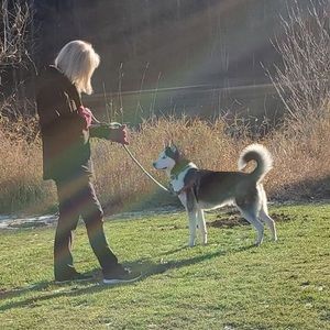 Meet your Posher, Judy